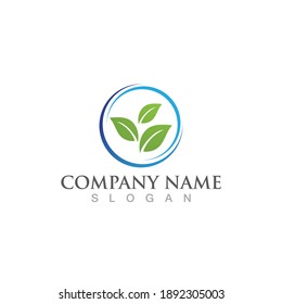 Leaf green logo and symbol vector