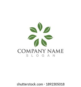 Leaf green logo and symbol vector