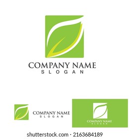 Leaf green logo and symbol vector template