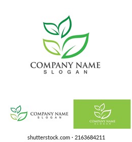 Leaf green logo and symbol vector template