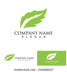 Leaf-grünes Logo und Symbol, Vektorvorlage