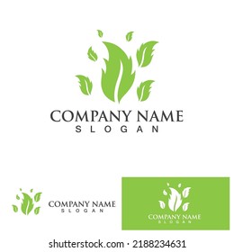 Logo verde hoja y plantilla de vector de símbolo