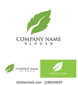 Leaf green logo and symbol vector template