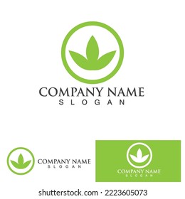 Leaf green logo and symbol vector template