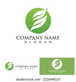 Leaf green logo and symbol vector template