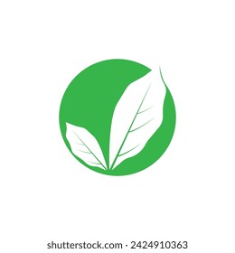 Plantilla de vector de logotipo y símbolo verde de hoja