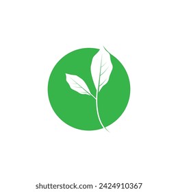 Leaf green logo and symbol vector template