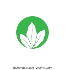 Leaf green logo and symbol vector template