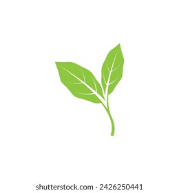 Leaf green logo and symbol vector template