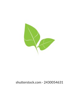 Leaf green logo and symbol vector template