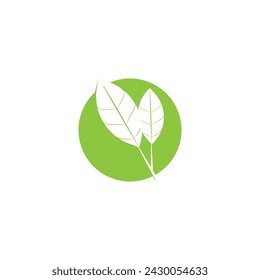 Leaf green logo and symbol vector template