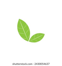 Leaf green logo and symbol vector template