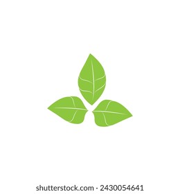 Leaf green logo and symbol vector template