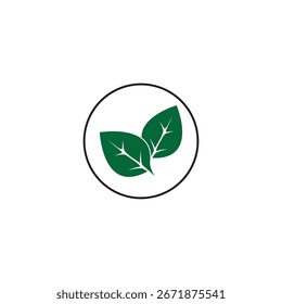 Leaf green logo and symbol vector template