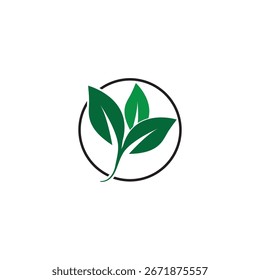 Logotipo verde de la hoja y Plantilla del Vector del símbolo