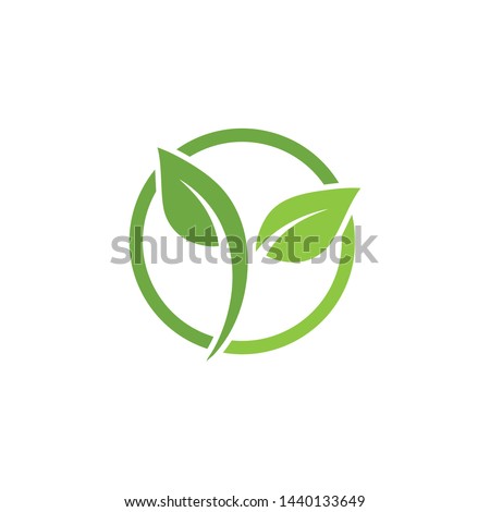 Leaf green Logo and symbol vector Template 