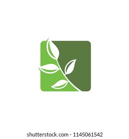 leaf green logo template