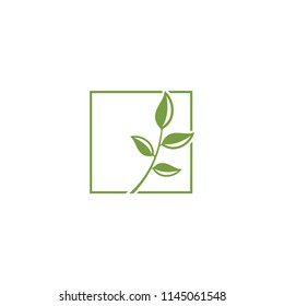 leaf green logo template