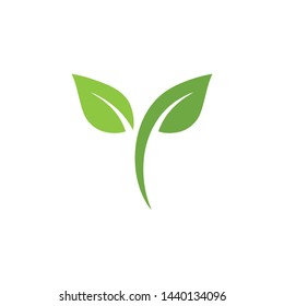 Leaf green Logo vector Template