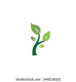 Leaf green Logo vector Template
