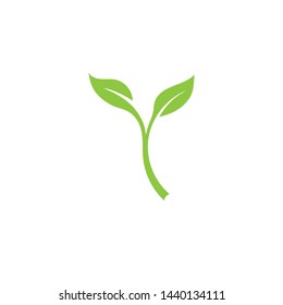 Leaf green Logo vector Template