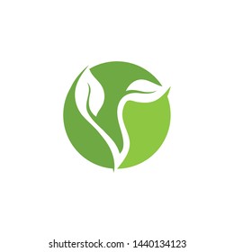 Leaf green Logo vector Template