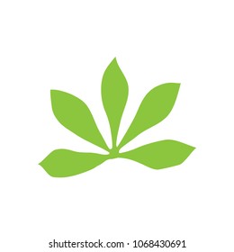 leaf green natural vector template