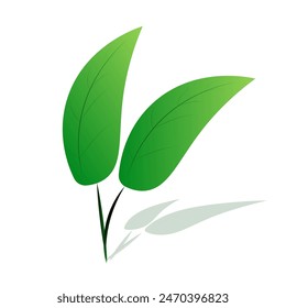 Blattgrün Natur Design Vektorgrafik
