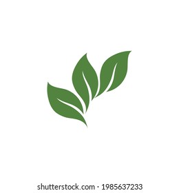 Leaf Green Nature Ecology Element vector
