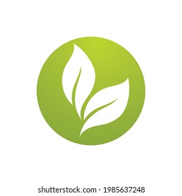 Vector de elemento ecológico de la naturaleza verde hoja
