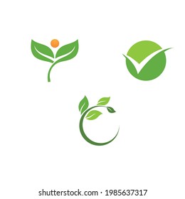 Vector de elemento ecológico de la naturaleza verde hoja