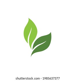Leaf Green Nature Ecology Element vector