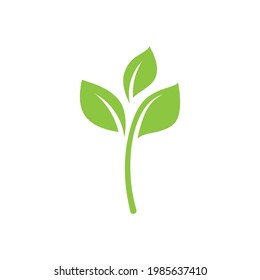 Leaf Green Nature Ecology Element vector