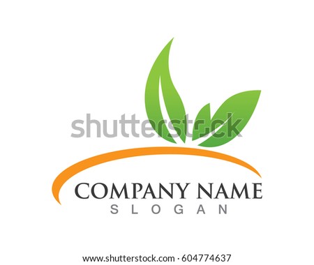 Leaf green nature logo concept