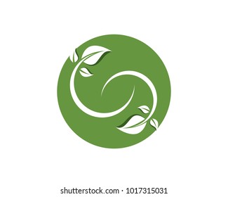 leaf green nature logo and symbol template Vector 