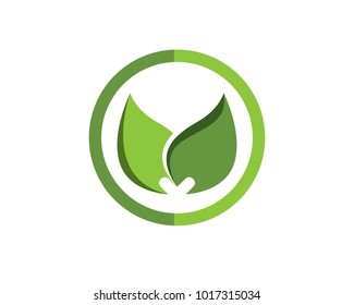 leaf green nature logo and symbol template Vector 