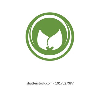 leaf green nature logo and symbol template Vector 
