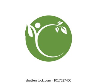 leaf green nature logo and symbol template Vector 
