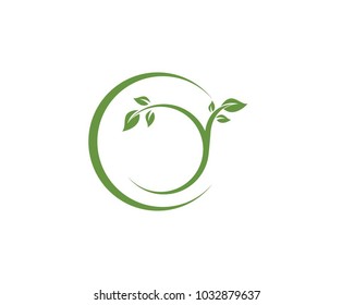 leaf green nature logo and symbol template Vector 