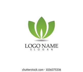 leaf green nature logo and symbol template Vector 
