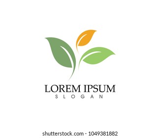 leaf green nature logo and symbol template 
