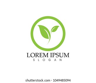 leaf green nature logo and symbol template 
