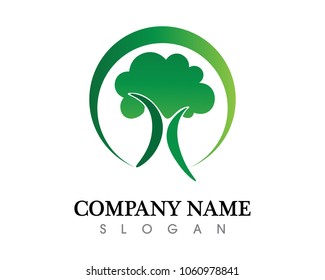 leaf green nature logo and symbol template Vector 