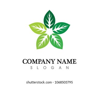 leaf green nature logo and symbol template Vector 