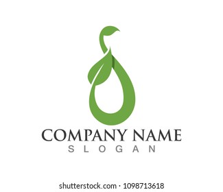 leaf green nature logo and symbol template Vector 
