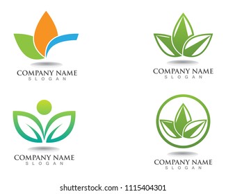 leaf green nature logo and symbol template 
