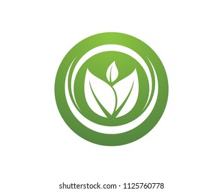 leaf green nature logo and symbol template Vector