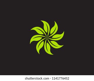 leaf green nature logo and symbol template Vector 
