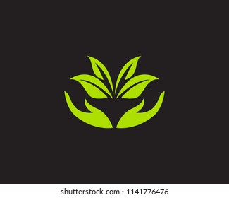 leaf green nature logo and symbol template Vector 
