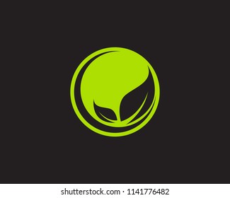 leaf green nature logo and symbol template Vector 
